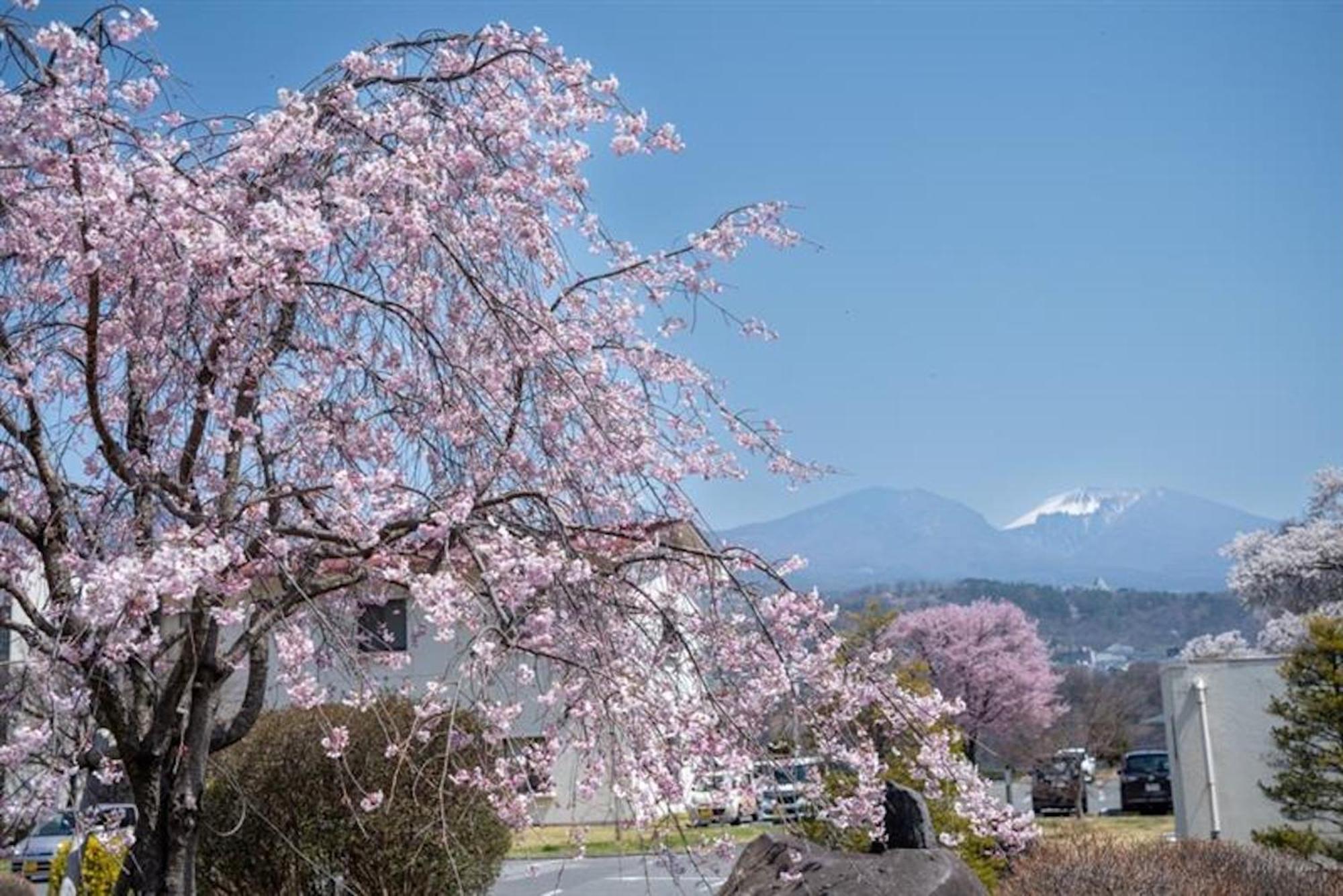 Nunohiki Onsen Komoro Extérieur photo