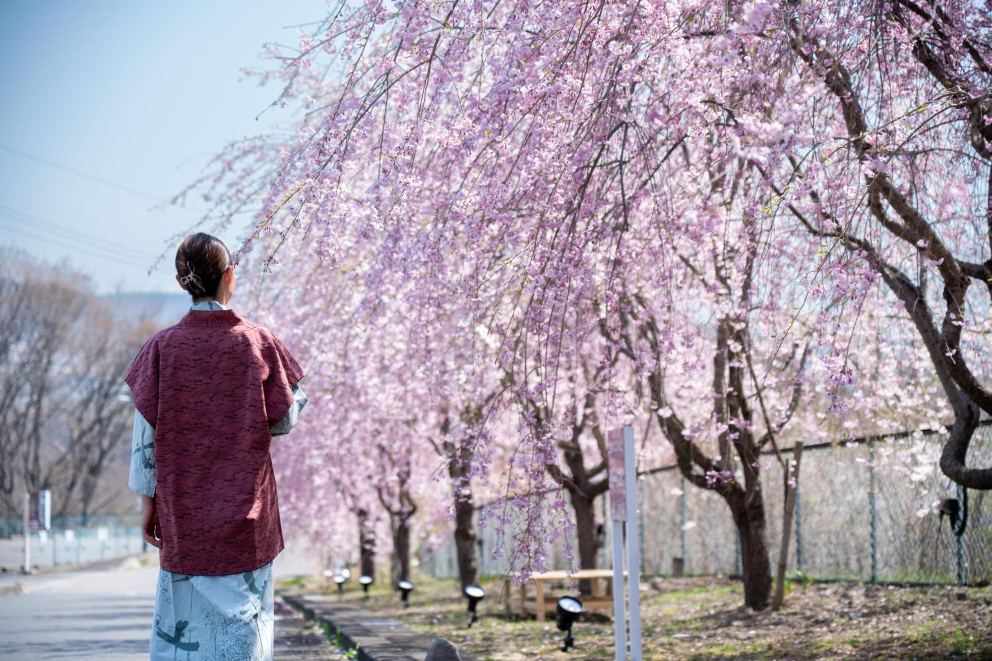 Nunohiki Onsen Komoro Extérieur photo